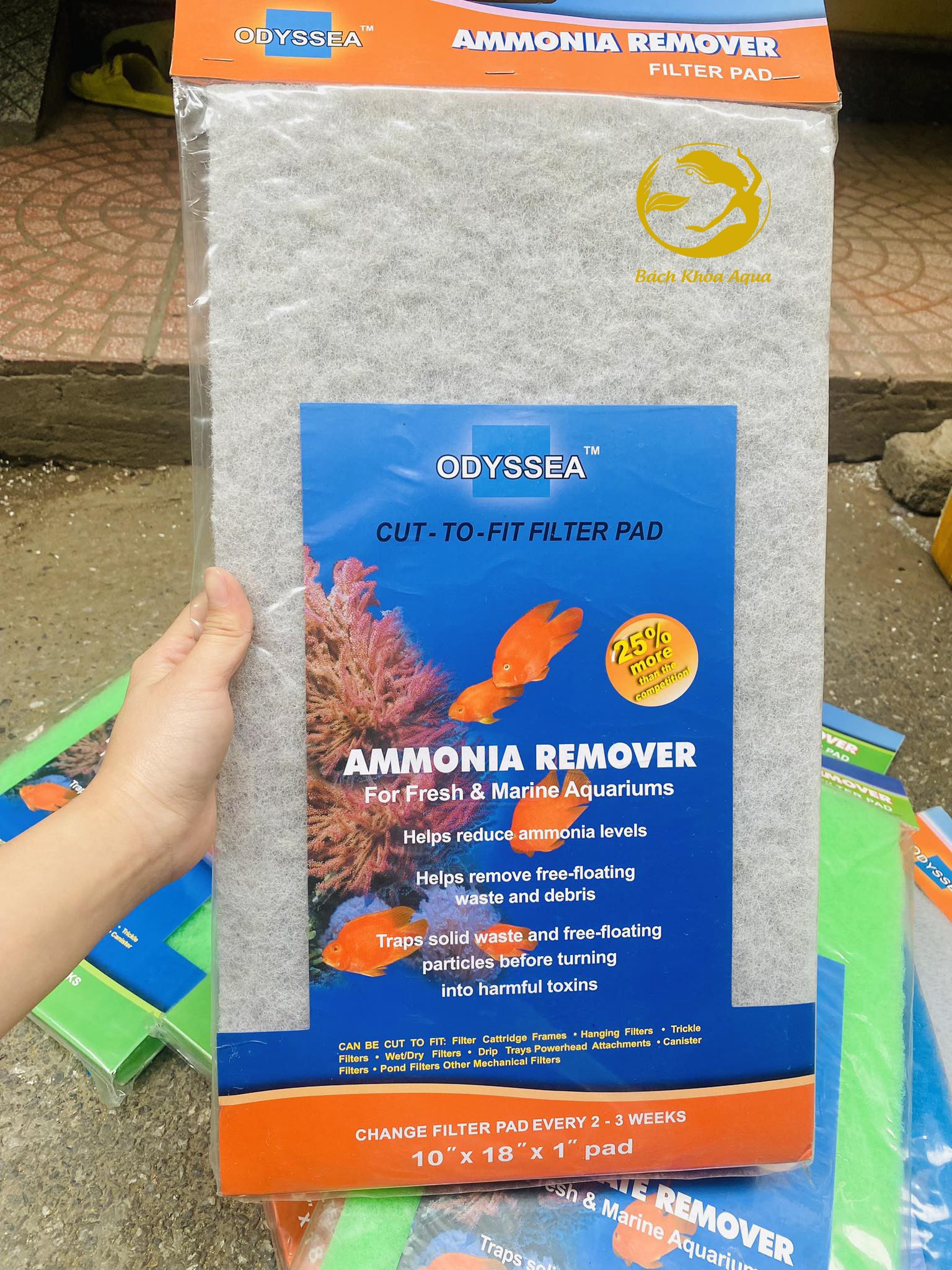 BÔNG LỌC ODYSSEA